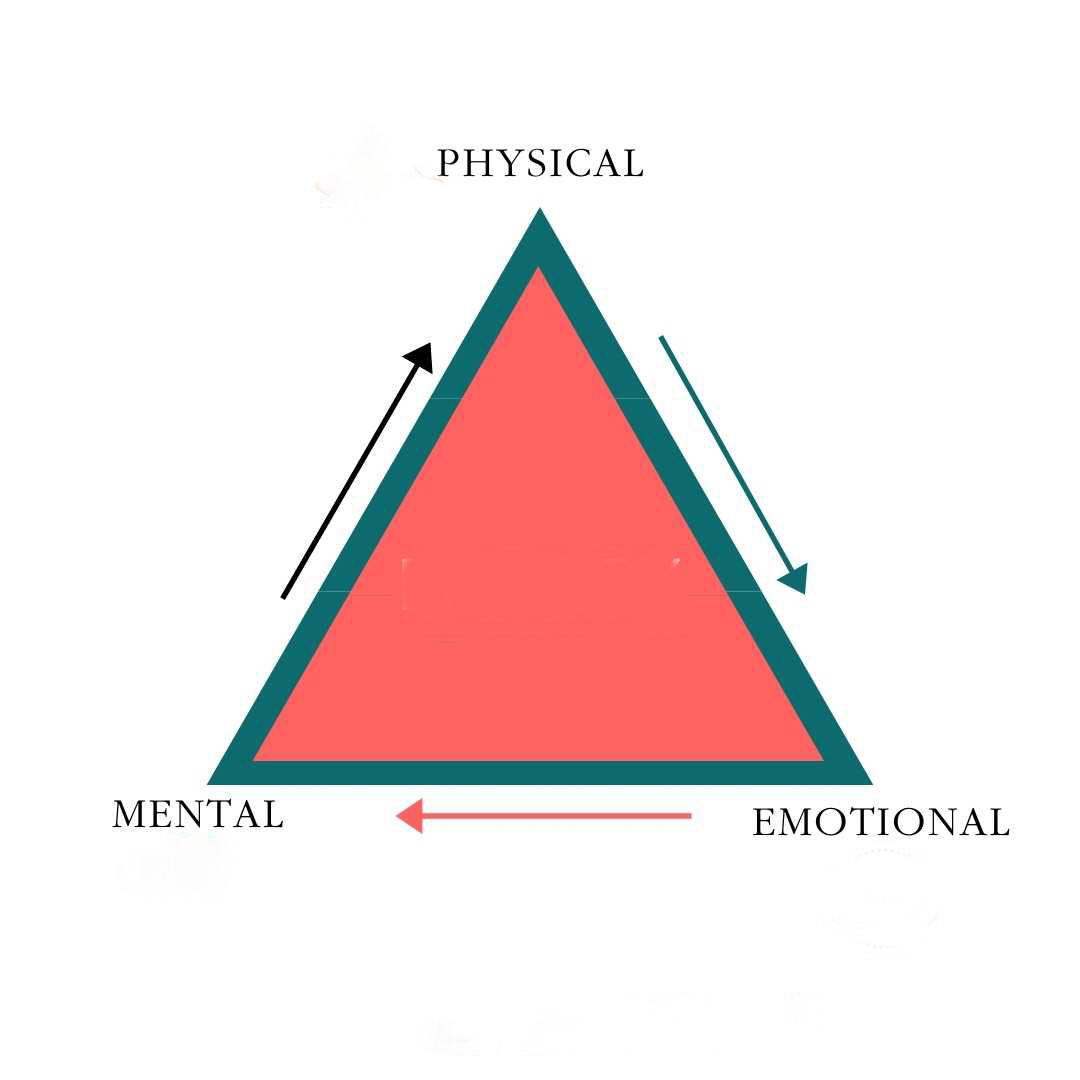 Mental, Physical, Emotional balanced Training