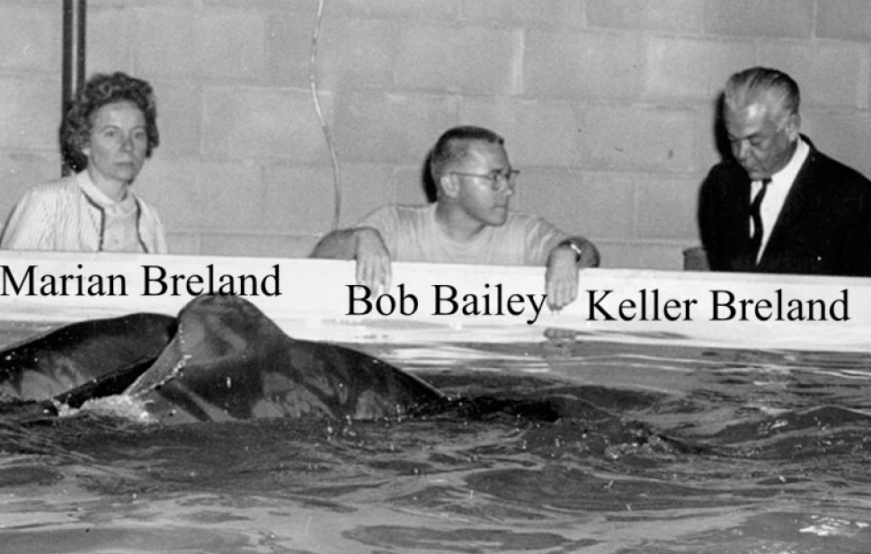 1963 Brelands and Bob Bailey